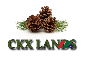土地所有权特许权使用费企业：CKX Lands, Inc.(CKX)