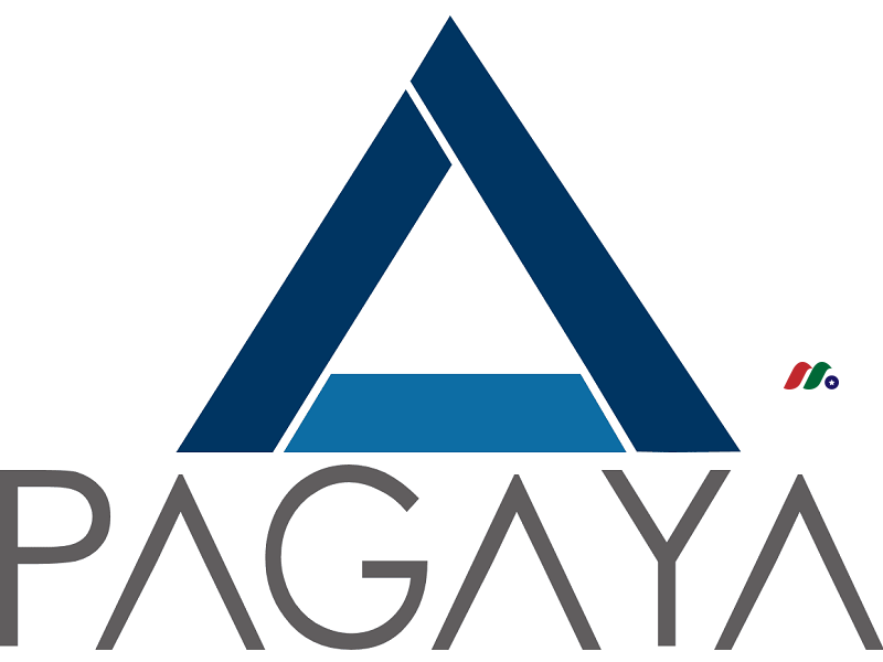 基于人工智能的金融科技公司：Pagaya Technologies Ltd.(PGY)