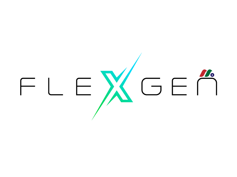 美国第二大储能技术公司：FlexGen Power Systems, Inc.