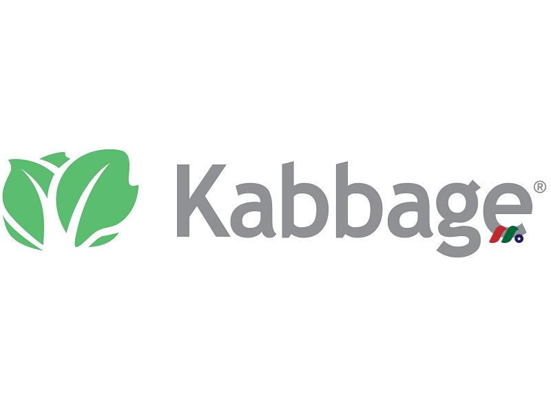 美国运通旗下现金流管理解决方案金融科技公司：Kabbage, Inc.