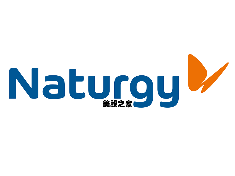 西班牙燃气和电力公用事业公司：天然气公司 Naturgy Energy Group(GASNY)