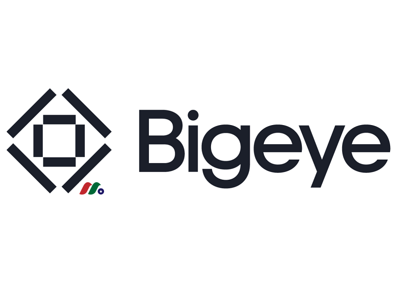 美国加州数据质量工程平台：Bigeye (Toro Data Labs)