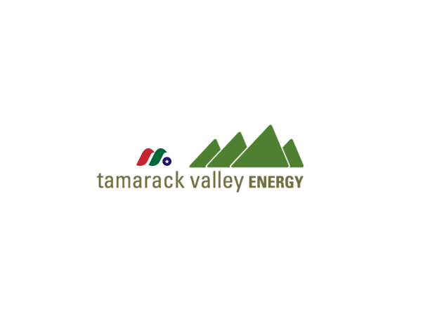 加拿大石油天然气公司：Tamarack Valley Energy Ltd.(TNEYF)