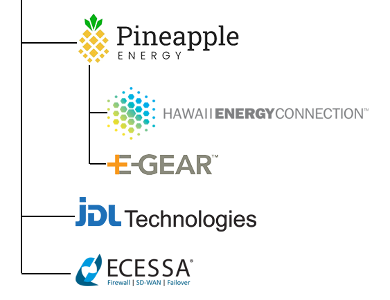 美国住宅光伏太阳能系统公司：菠萝能源 Pineapple Energy Inc.(PEGY)-图片2
