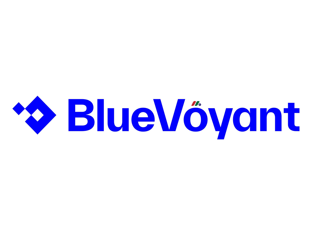 美国综合性网络安全平台独角兽：BlueVoyant LLC