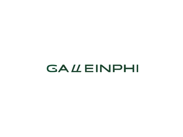 中国消费电子产品批发商：嘉乐科技 Galleinphi(GALE)