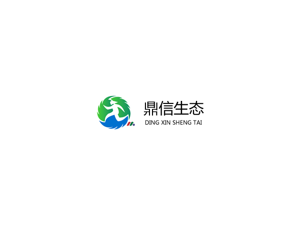中国水处理供应商：鼎信生态 Decent Holding Limited(DXST)